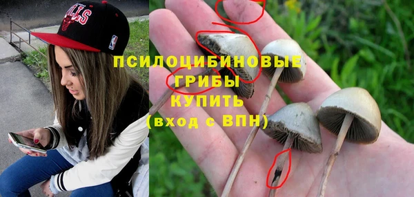 скорость Липки